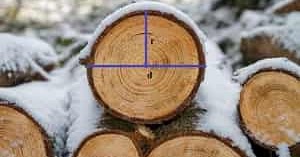 Rumus Mengukur Volume Pohon