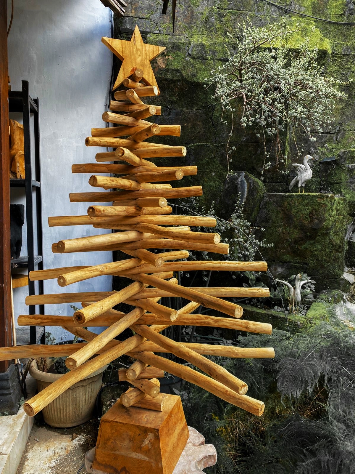 WhatsApp Image 2021-11-26 at 11.11.29 WhatsApp Image 2021-11-26 at 11.11.29