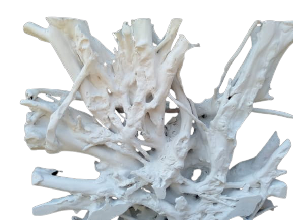 WhatsApp_Image_2022-02-12_at_09.25.29__2_-removebg-preview WhatsApp_Image_2022-02-12_at_09.25.29__2_-removebg-preview