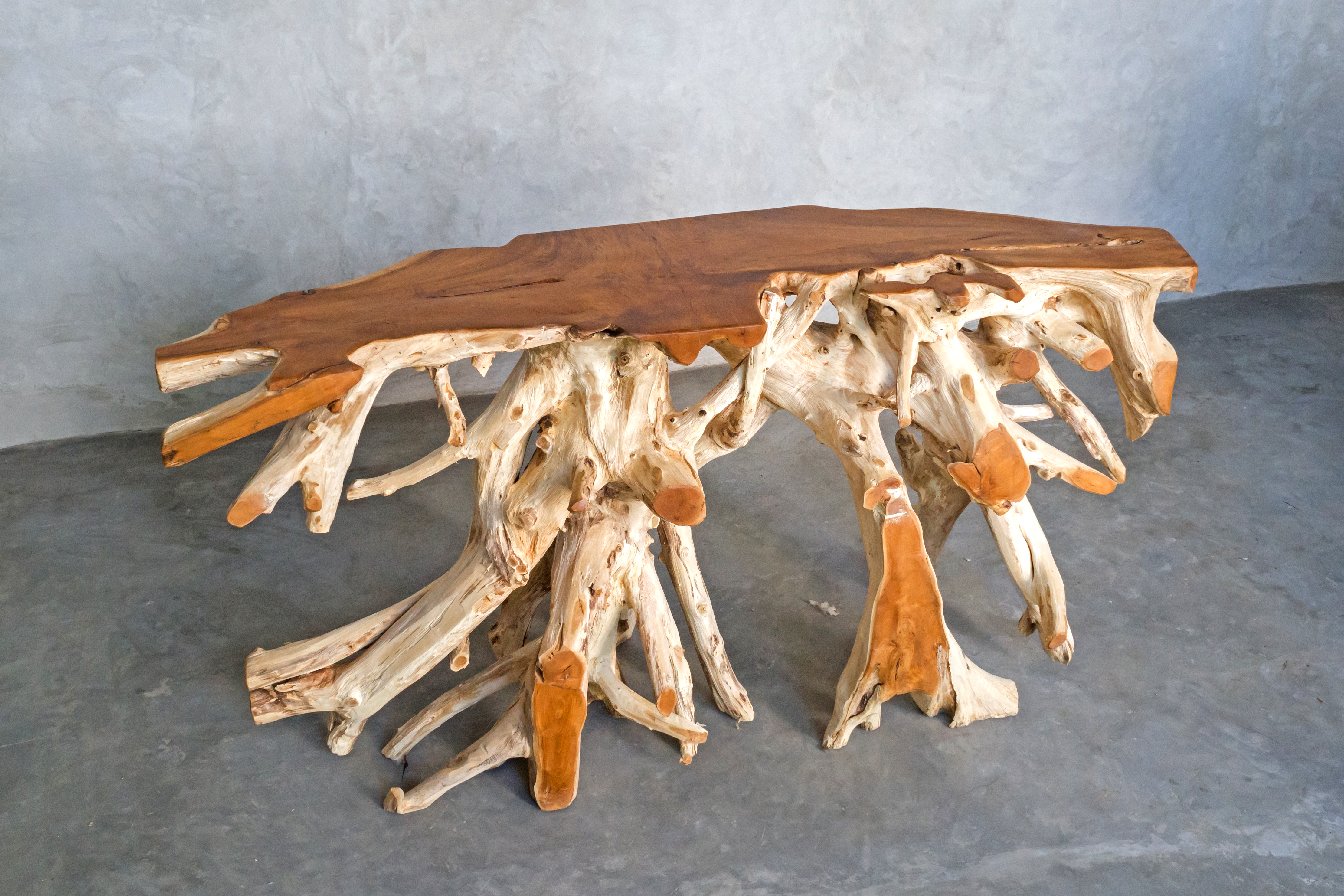 OLYMPUS DIGITAL CAMERA OLYMPUS DIGITAL CAMERA