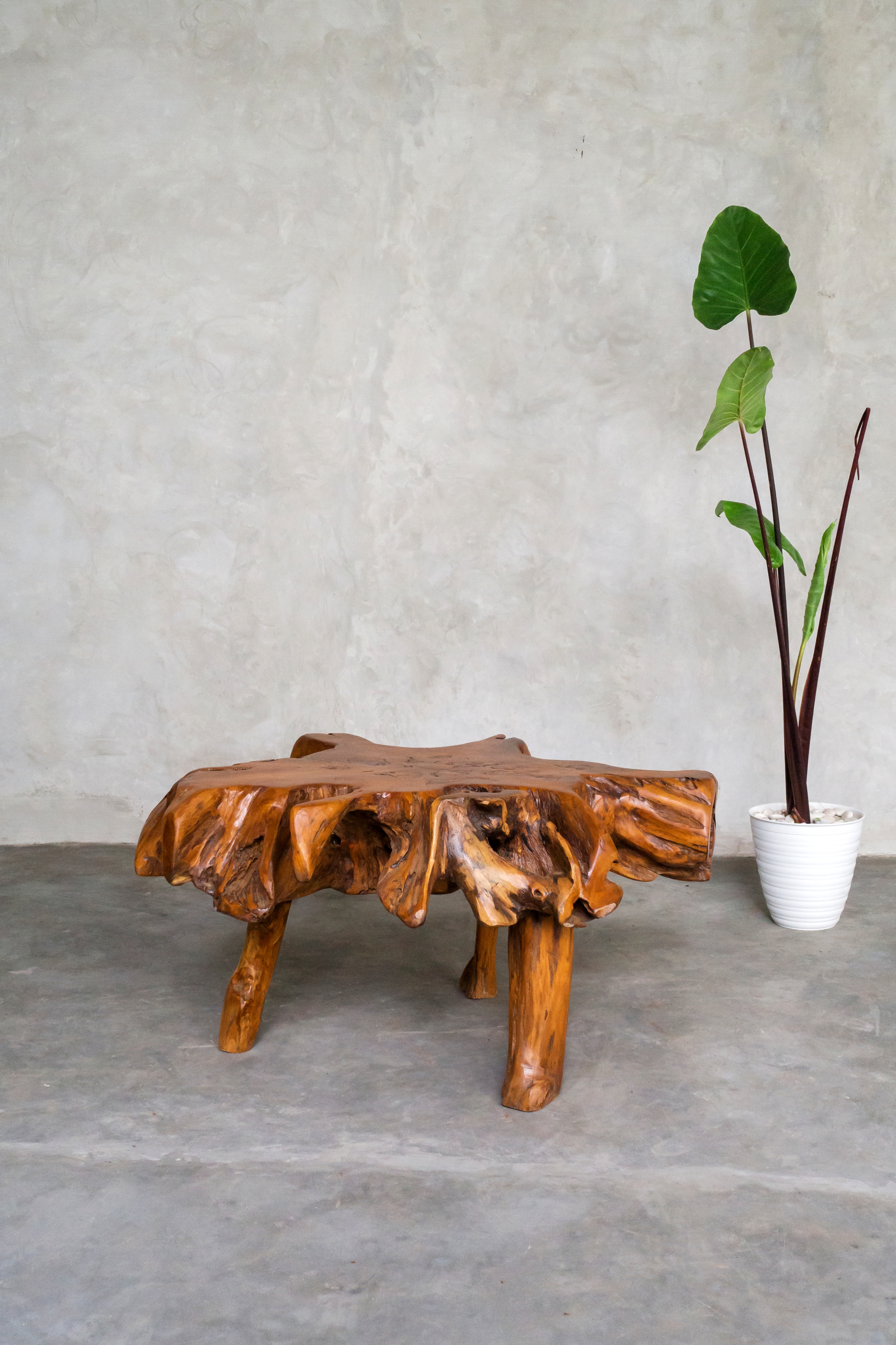 OLYMPUS DIGITAL CAMERA OLYMPUS DIGITAL CAMERA